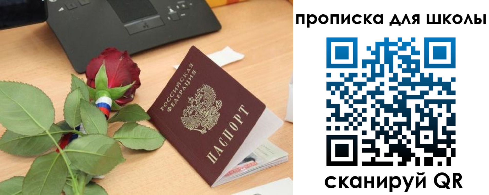прописка паспорт в Опочке
